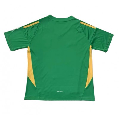 Dres Aston Villa Golmanski Domaci 2024-25 Kratak Rukav Dres Aston Villa Golmanski Domaci 2024-25 Kratak Rukav